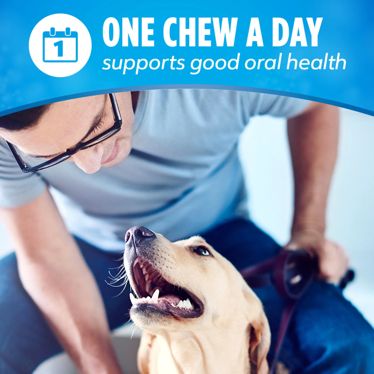 Purina  Daily Oral Care Chicken Flavor Dental Chews for Large Dogs, 20.7 Oz.