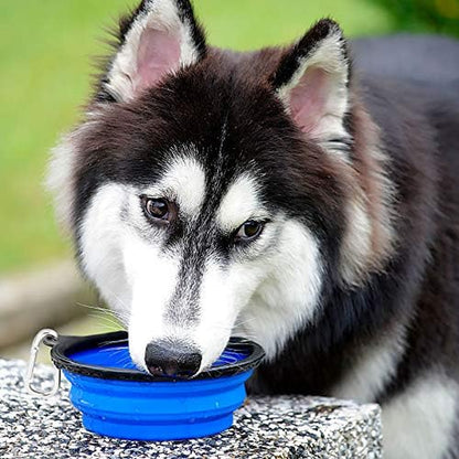 Large Collapsible Dog Bowls 2 Pack, 34Oz Foldable Dog Travel Bowl, Portable Pet Water Food Bowl with Clasp, Pet Cat Feeding Cup Dish for Traveling, Walking, Hiking (Blue+Green)