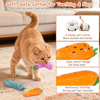 Catnip Toys