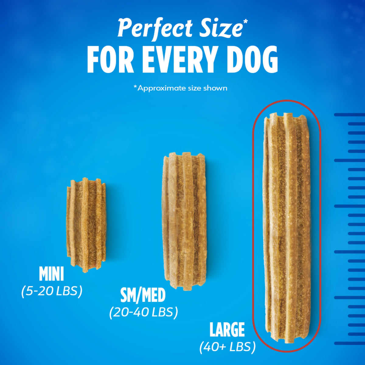 Purina  Daily Oral Care Chicken Flavor Dental Chews for Large Dogs, 20.7 Oz.