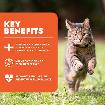 - Cat Food, Vet-Formulated Renal Wet Cat Food, Non GMO, Kidney Care Food with Lamb Flavor, Crafted for Adults, Made in Italy (3.5 Oz, 32 Pack)