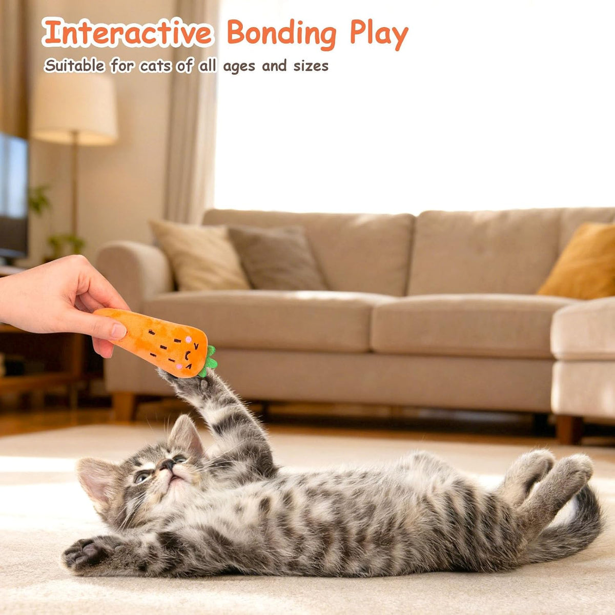 Catnip Toys