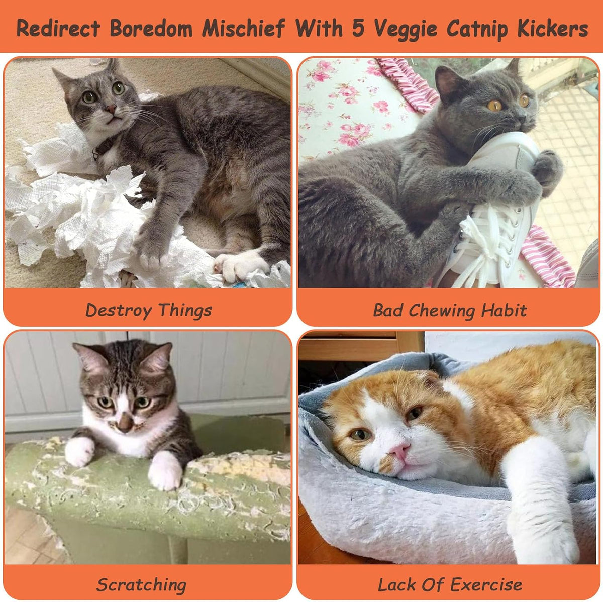 Catnip Toys