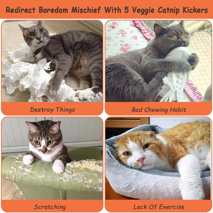 Catnip Toys