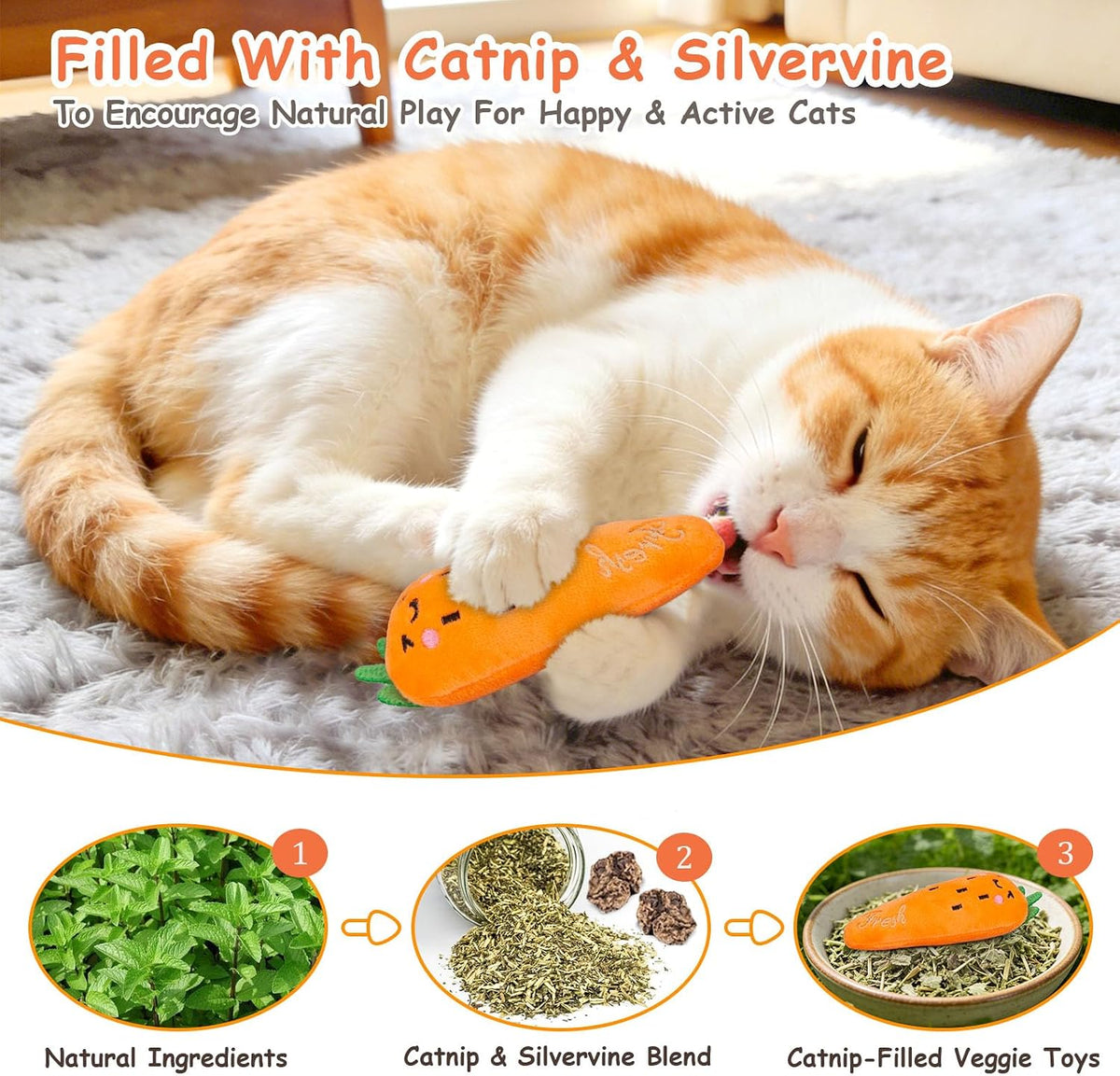 Catnip Toys