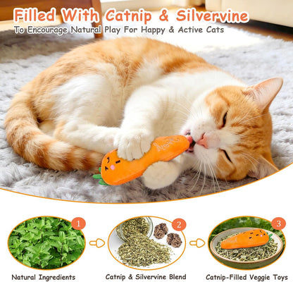 Catnip Toys