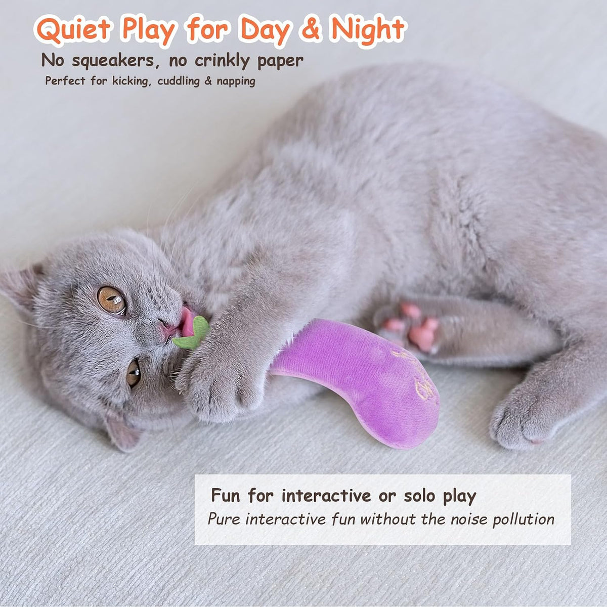 Catnip Toys