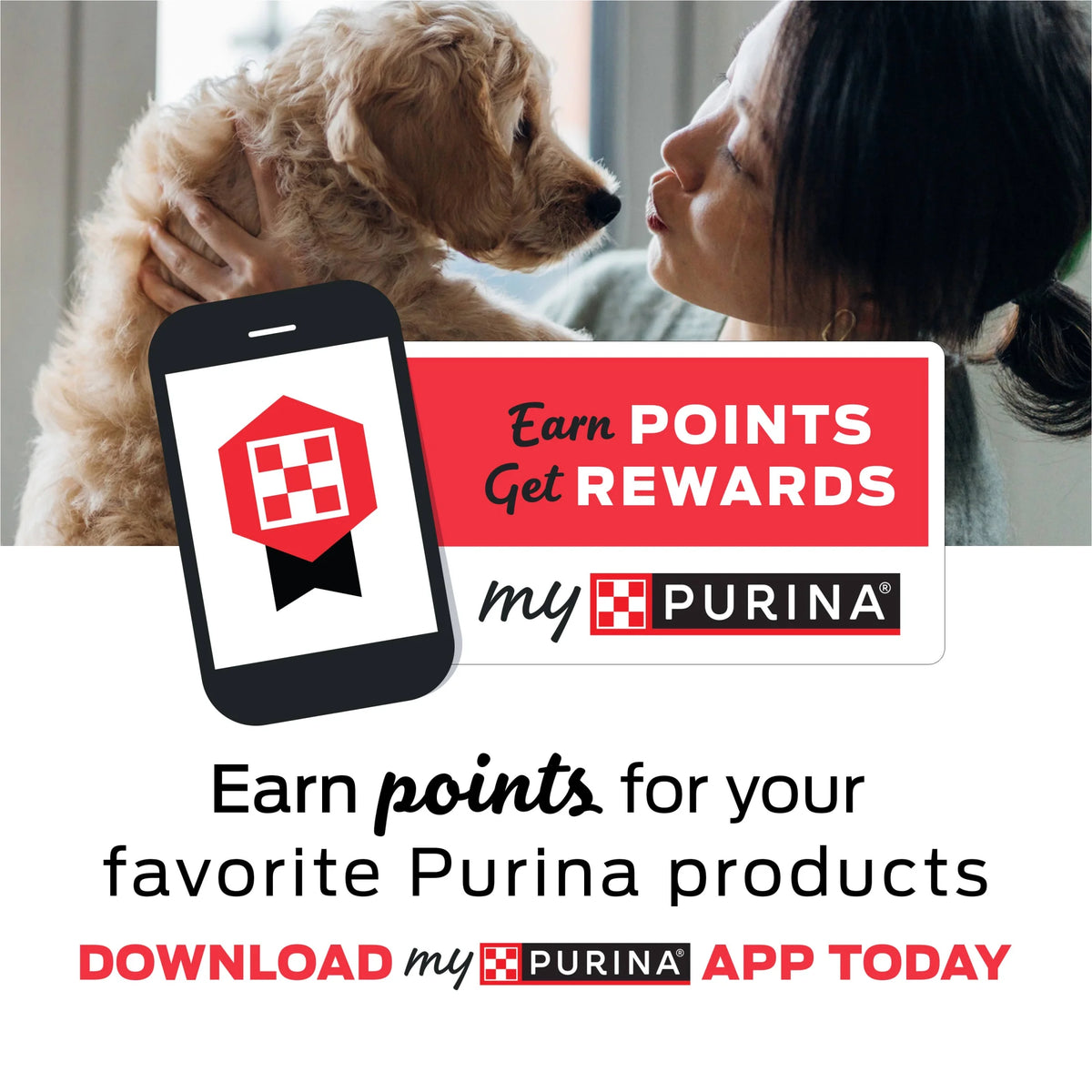 Purina  Daily Oral Care Chicken Flavor Dental Chews for Large Dogs, 20.7 Oz.