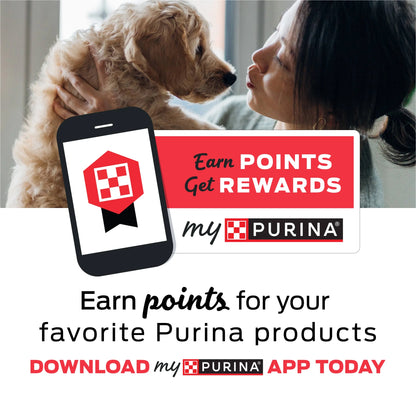 Purina  Daily Oral Care Chicken Flavor Dental Chews for Large Dogs, 20.7 Oz.