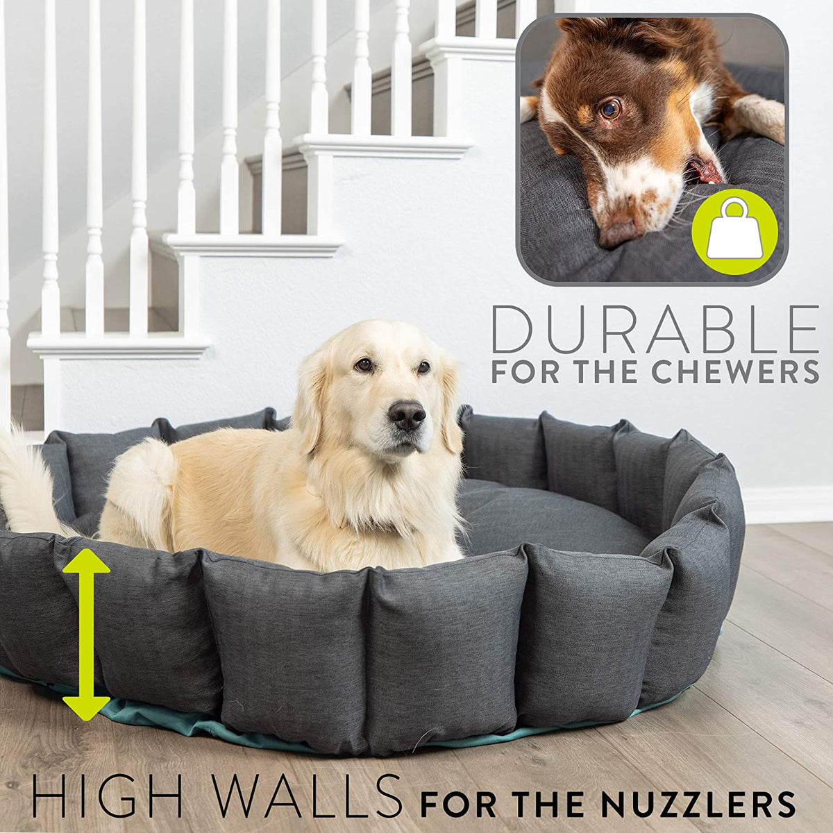 Durable Dog Bed