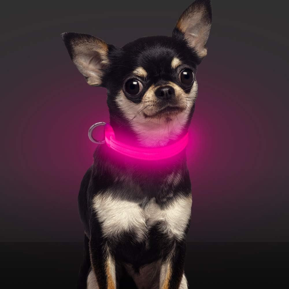 Light up Dog Collar, Rechargeable LED Dog Collar Glow in the Dark Cat Collar Reflective Puppy Collar Safety Dog Lights for Night Walking (Pink, XS)